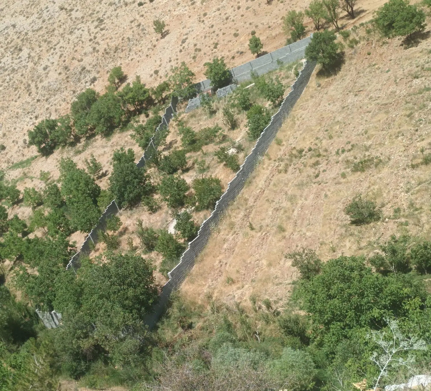 باغ دور دیوار یپیدان