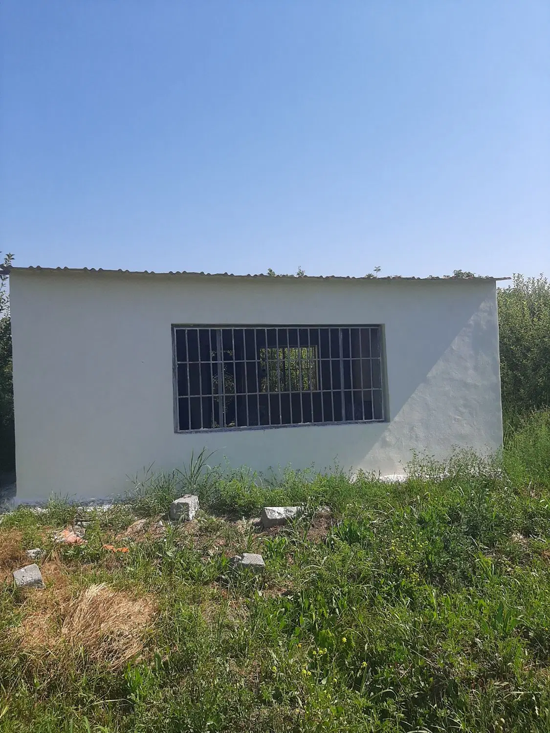 باغ ۱۰۰۰ متر جاده سنتو میرشکارلو روستای خضراباد