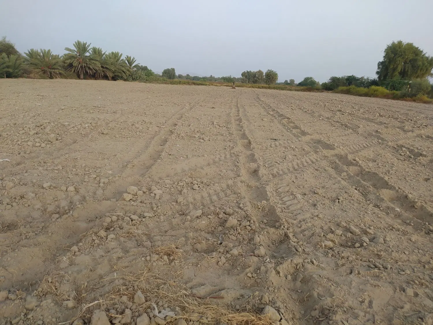 زمین برای اجاره