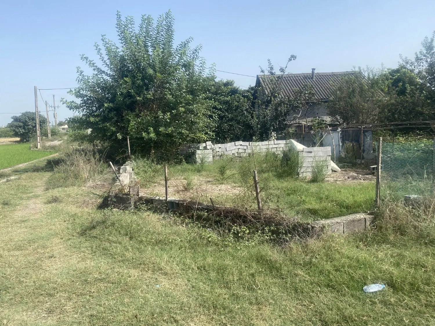 زمین ۱۴۵ متری آمل جاده واسکس