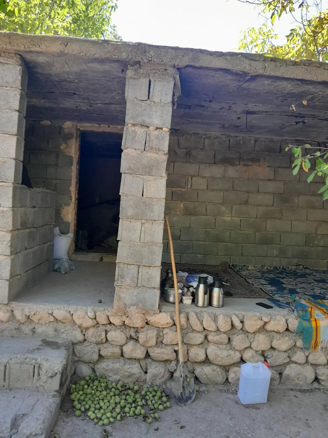 باغ گردو