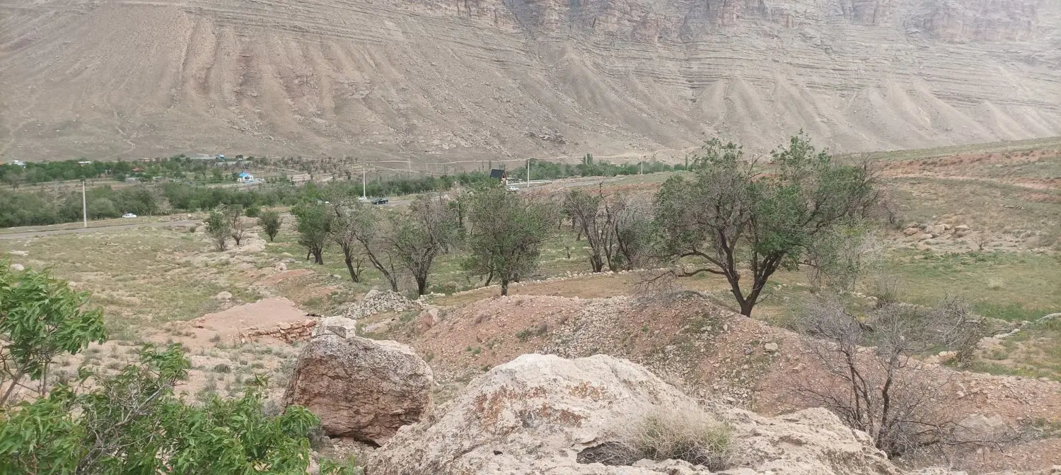 فروش مزرعه