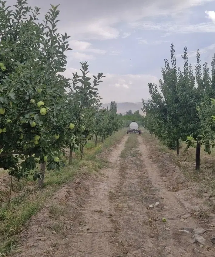 زمین باغی شاهنامه 14 مجتمع شهرزاد