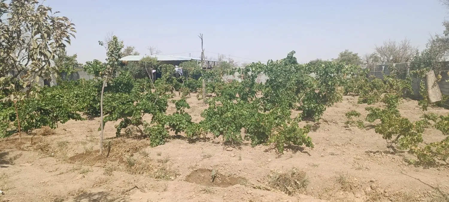 باغ1200متر مرزیجران