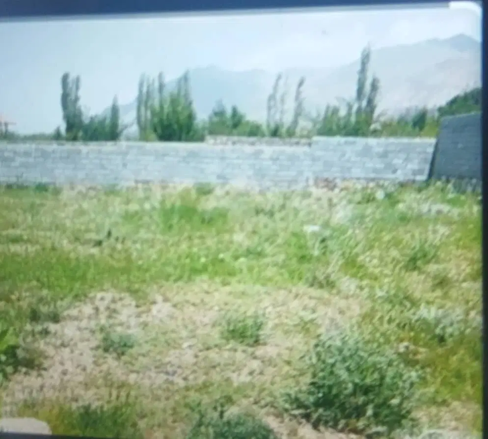 زمین دربرگپی