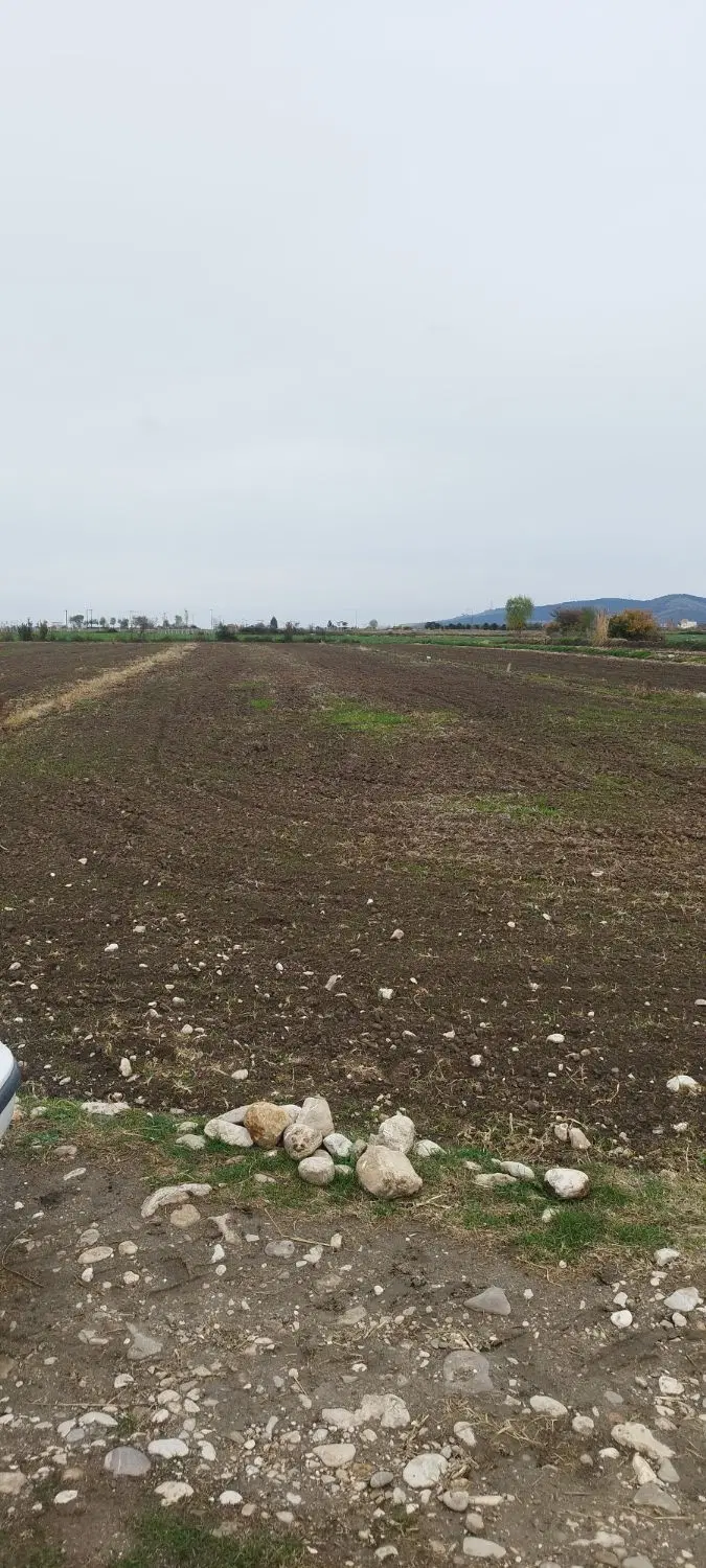 زمین کشاورزی