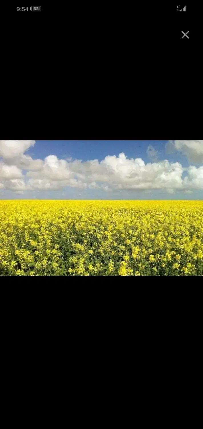 قطعه زم