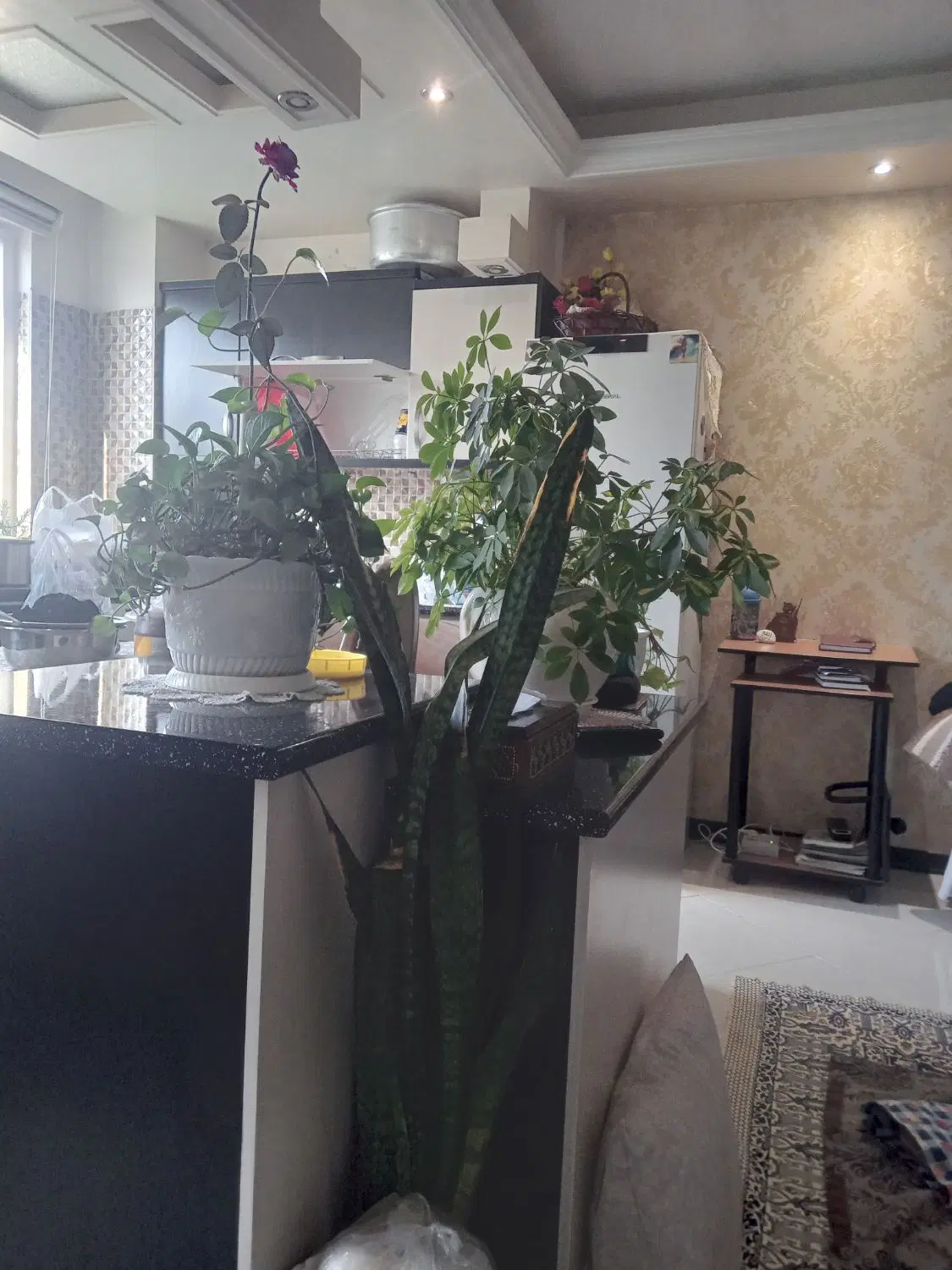 ۶۸ متر ۱ خوابه طبقه دوم با پارکینگ وانباری