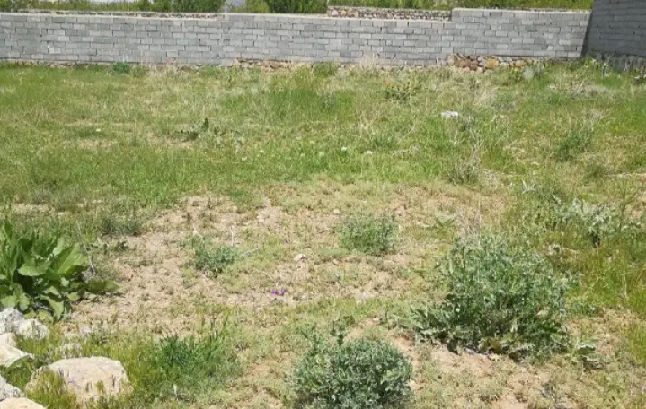 زمین مسکونی روستای گنبد جاده ملایر زیر قیمت منطقه