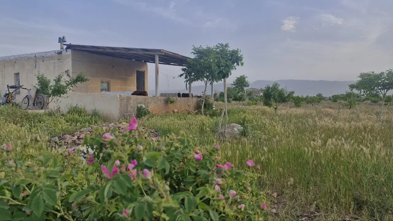 زمین کشاورزی