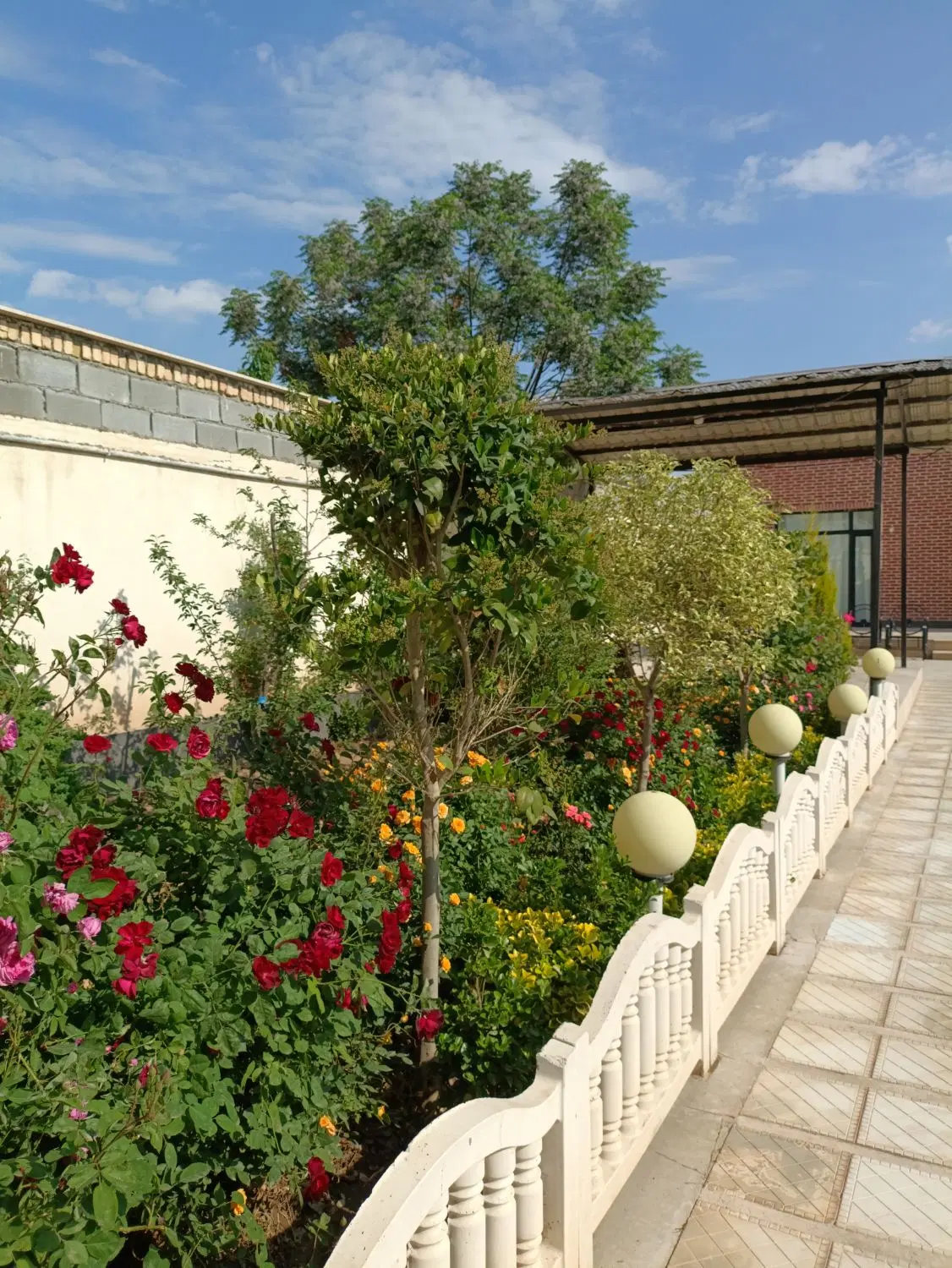 375 متری یوسف رضا