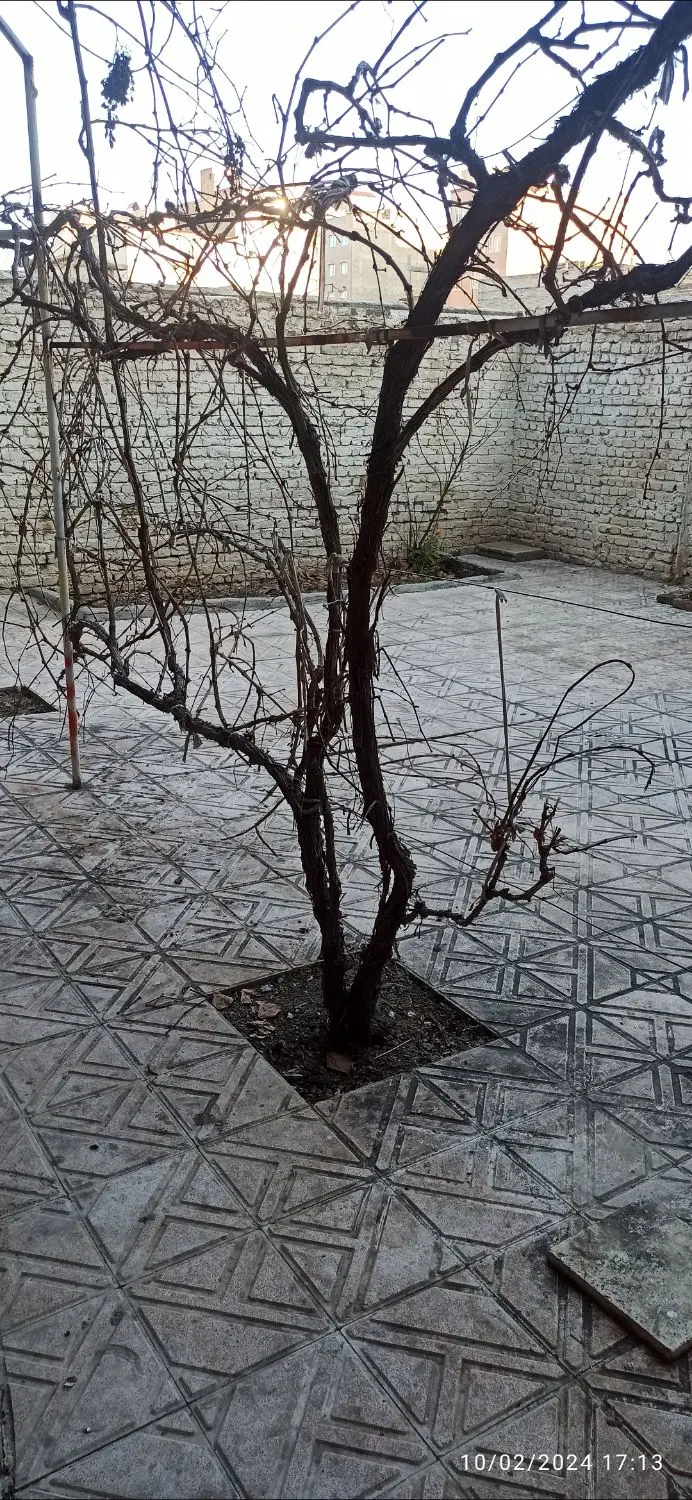 ساختمان راه جدا مولوی ۱۳۰ متر دوخواب