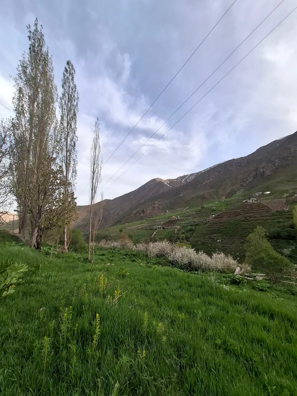 باغ ویلا امامه بالا بهترین فرعی