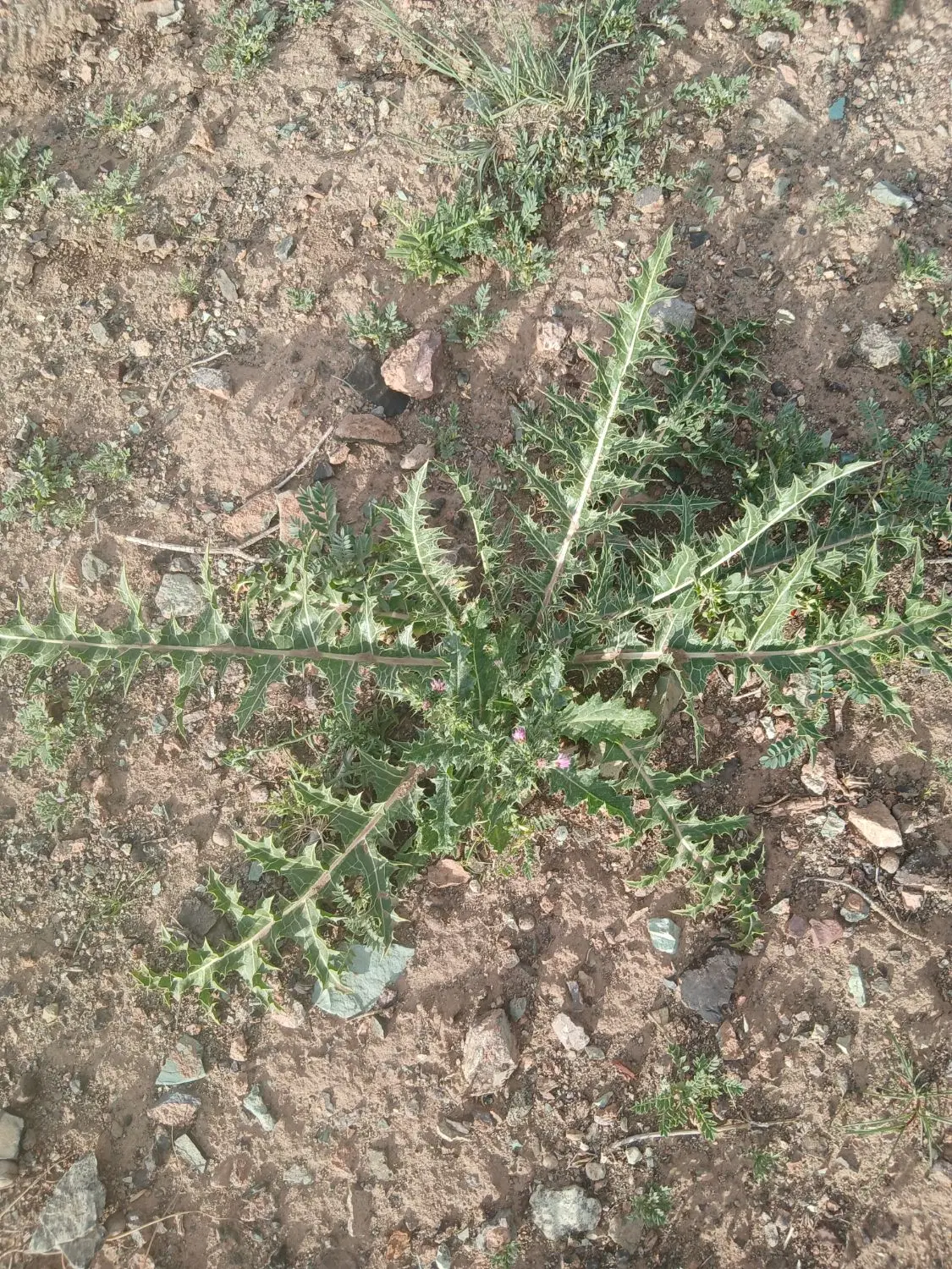 زمین بحر جاده