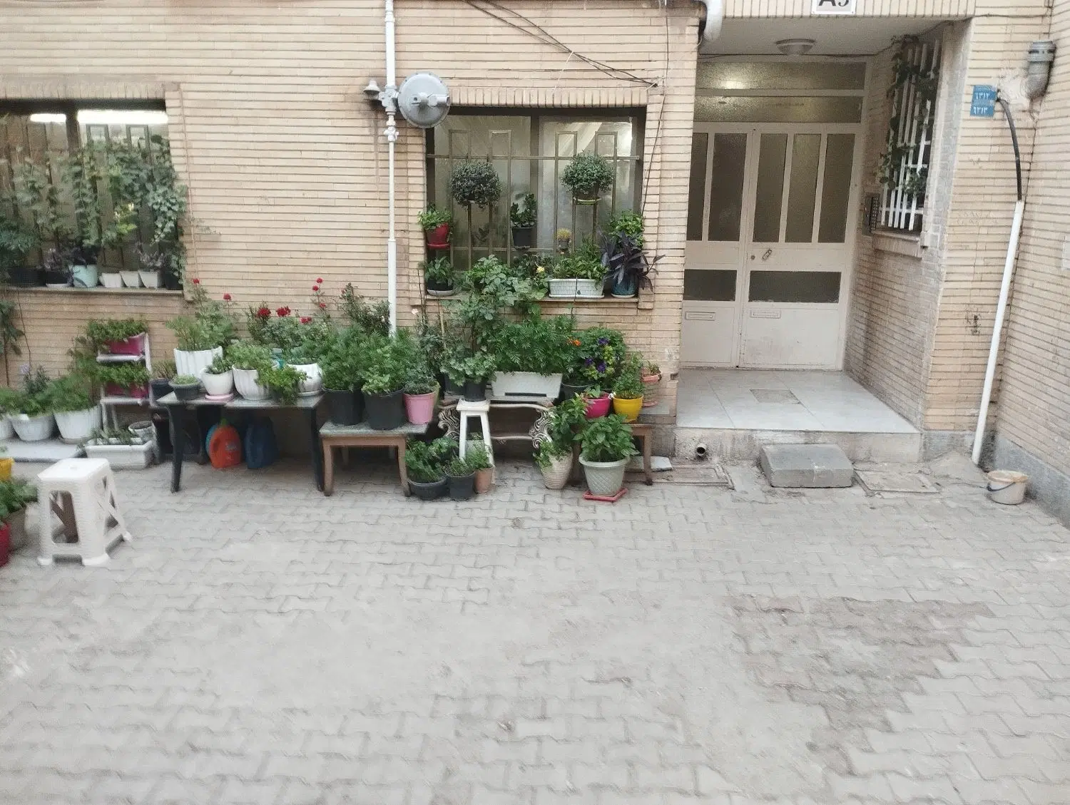 اجاره واحد ۶۲متری یک خواب شهرک ناز