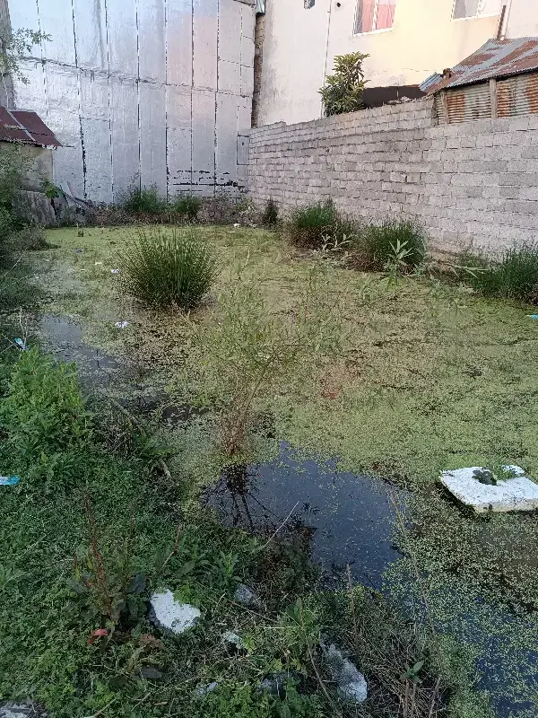 زمین مسکونی