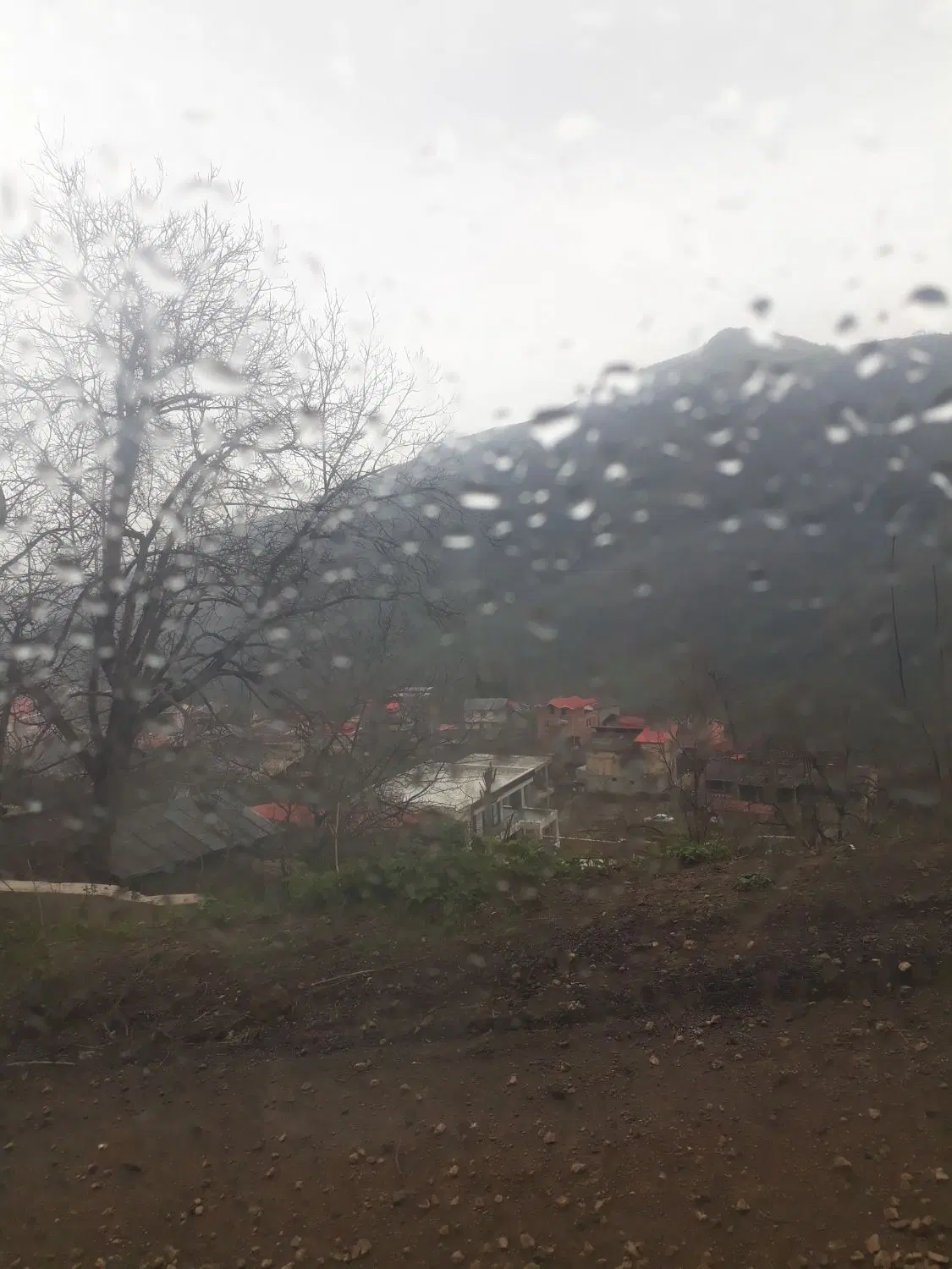 باغ فروشی جاده تبریز(۶کیلومتری)