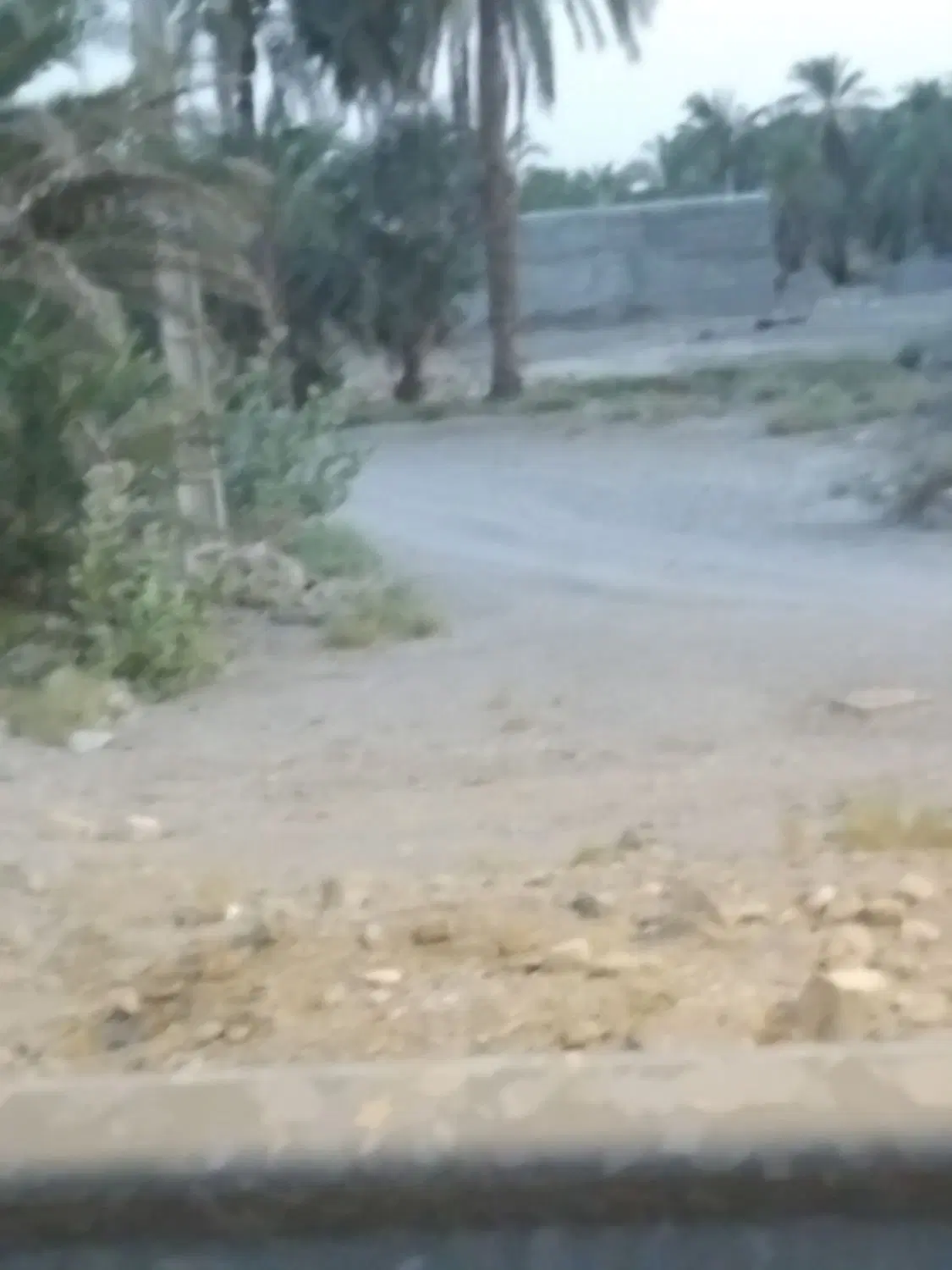 زمین تجاری علی آباد سرزه.سندتک برگ