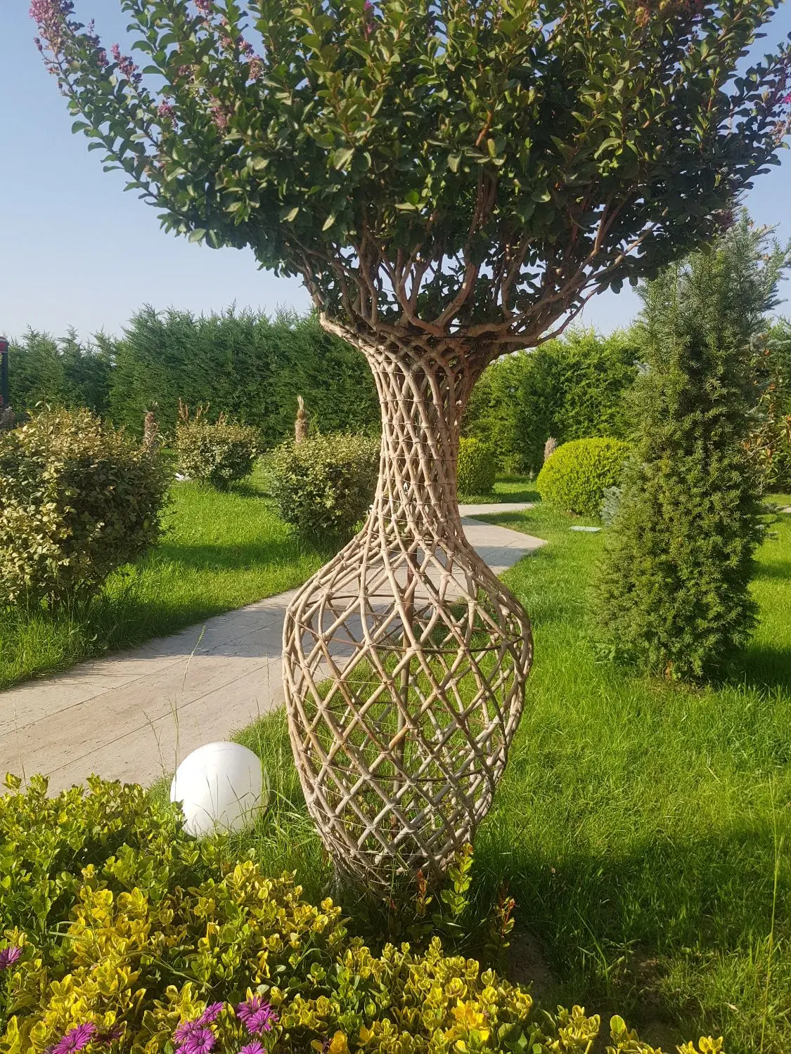 مشارکت در ساخت گلخانه یک هکتاری