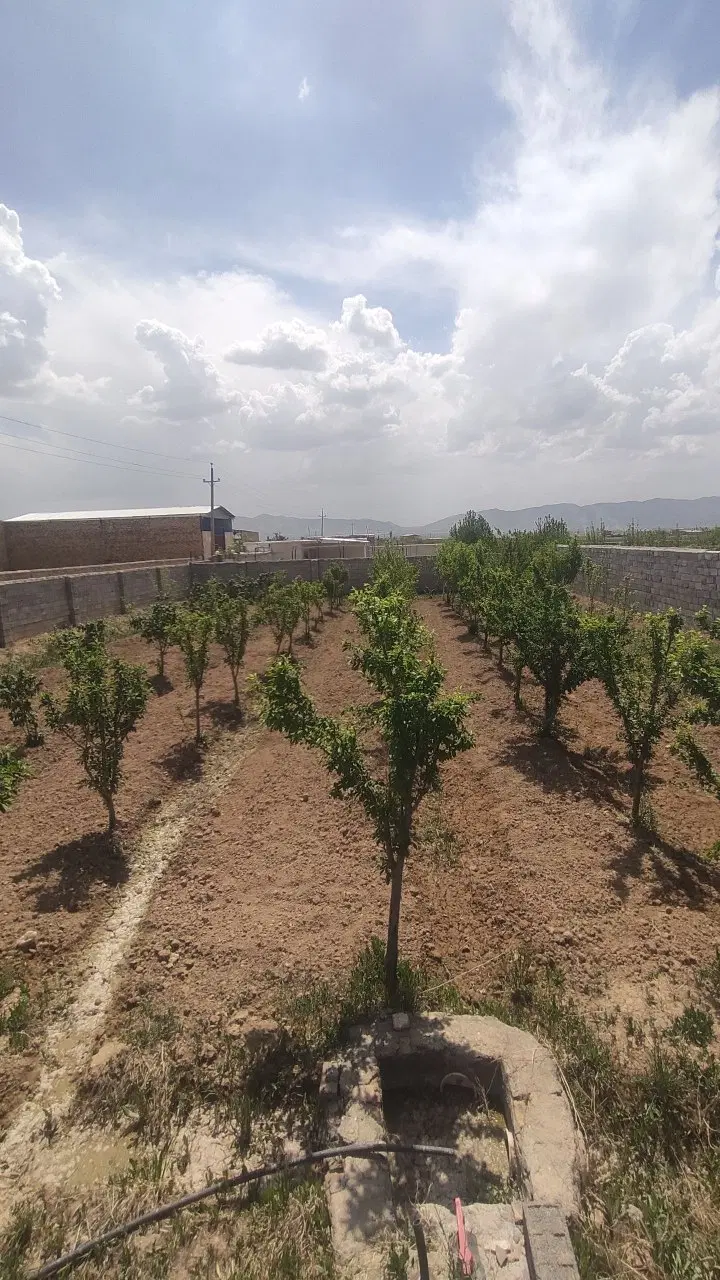 باغ ، زمین