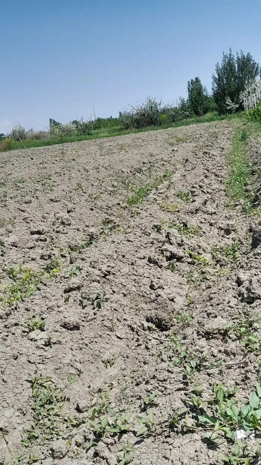 زمین مناسب برای ویلا سازی