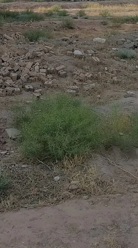زمین معدآباد ۷ دهنه حدود11
