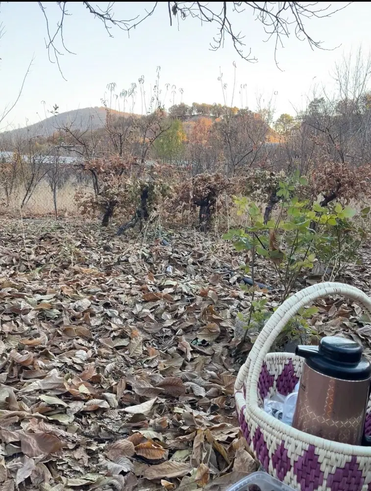 فروش باغ در روستای بیاره