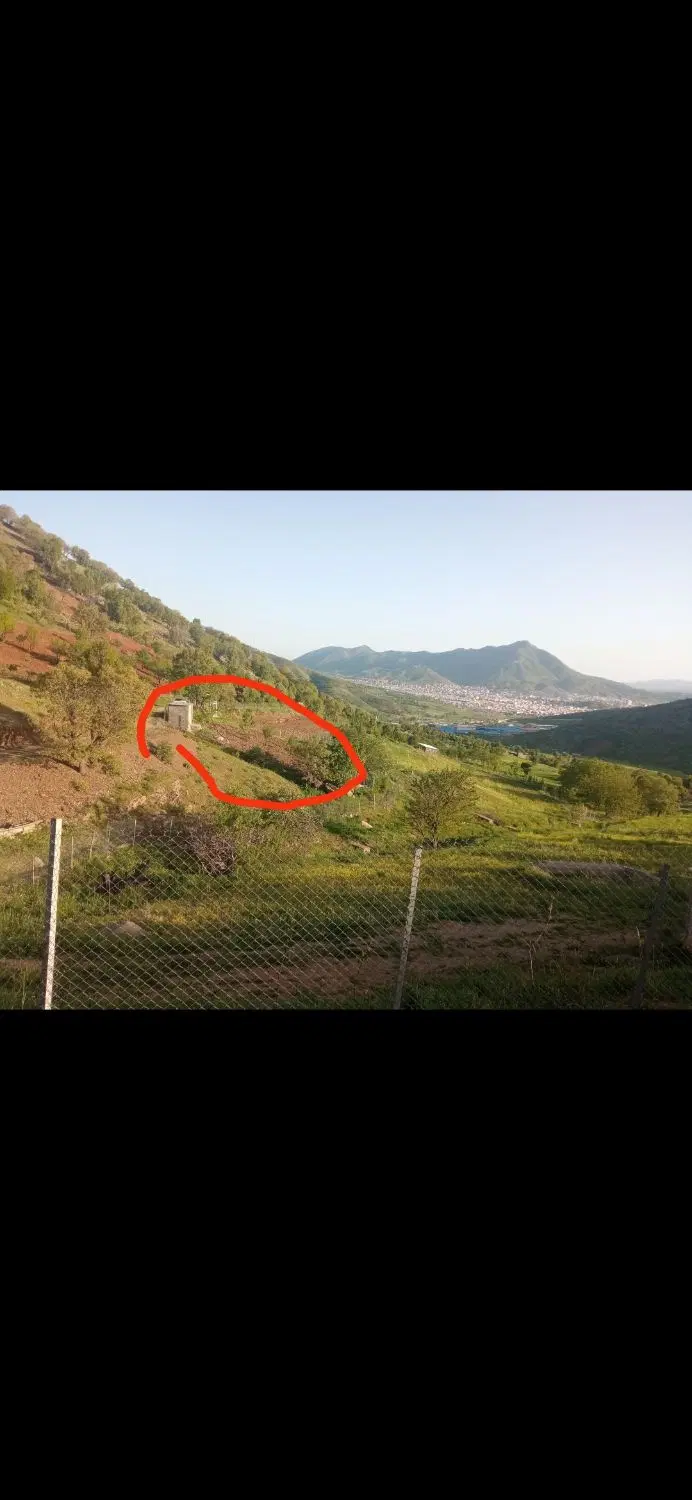 باغ ۵ ساله پشت روستای رشه قلات