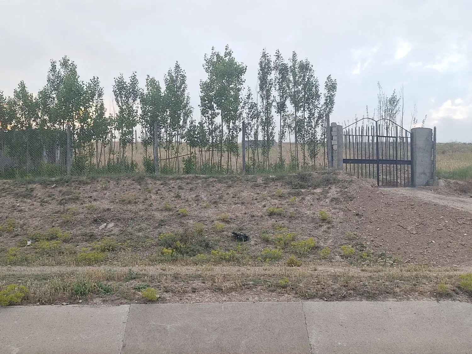 باغ در نوران