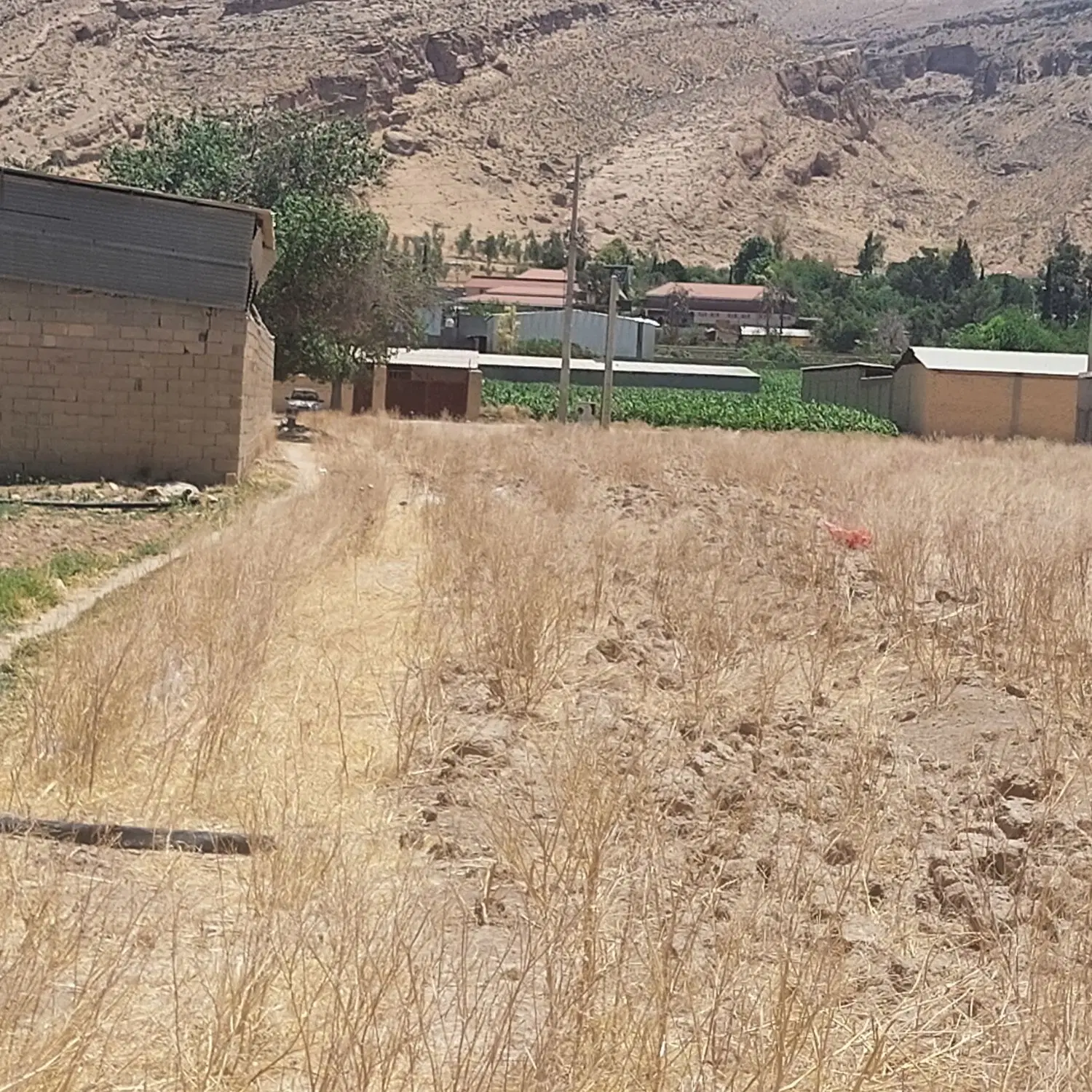 زمین آینده دار(طرح هادی)مناسب گلخانه ودامداری و..