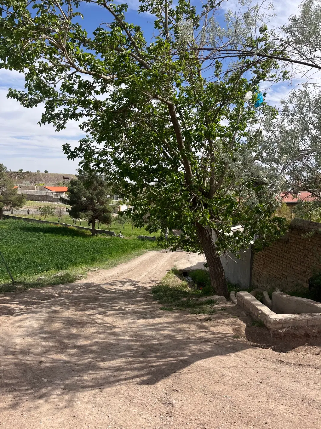 باغ ویلا