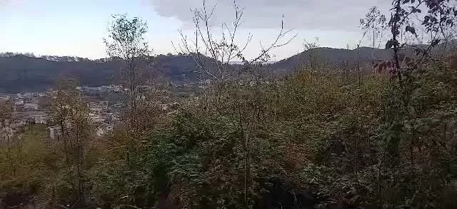 فروش زمین در جاده ۲۰۰۰ تقی اباد