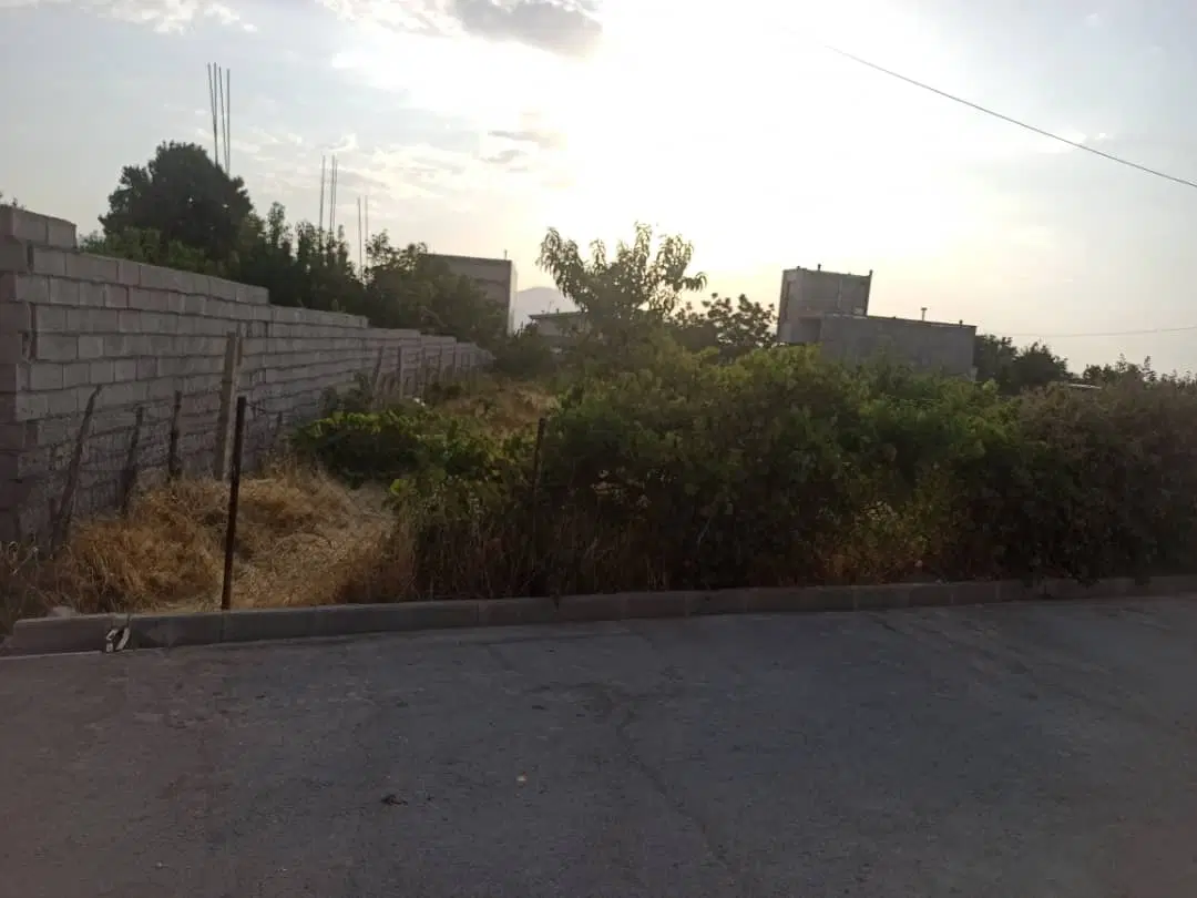 باغ انگور و چندین میوه