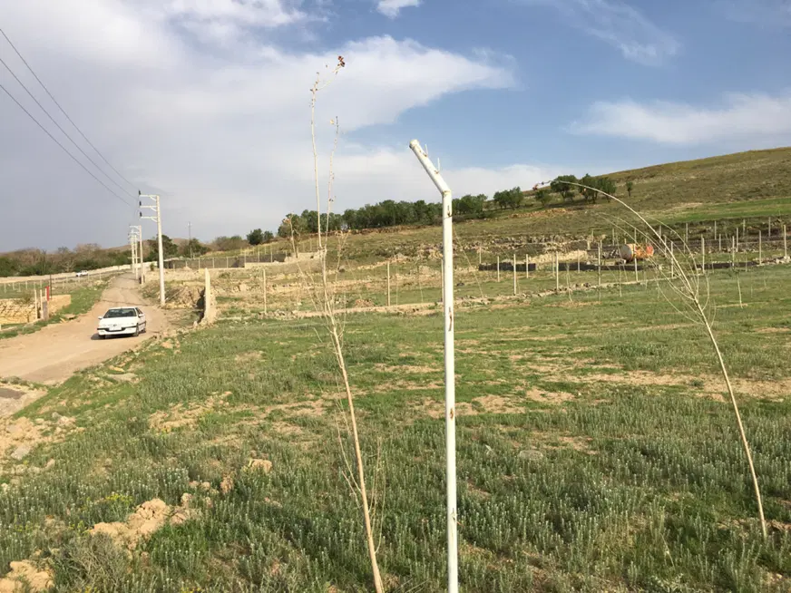 فروش باغ هزار متری تفریجان