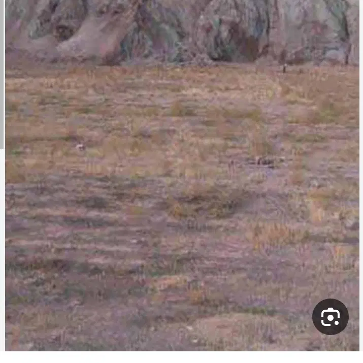 زمین