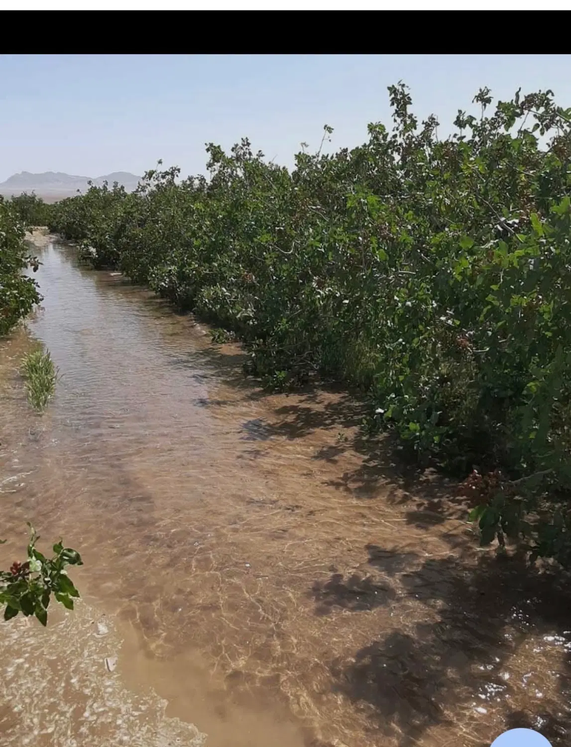 زمین در زنگی اباد
