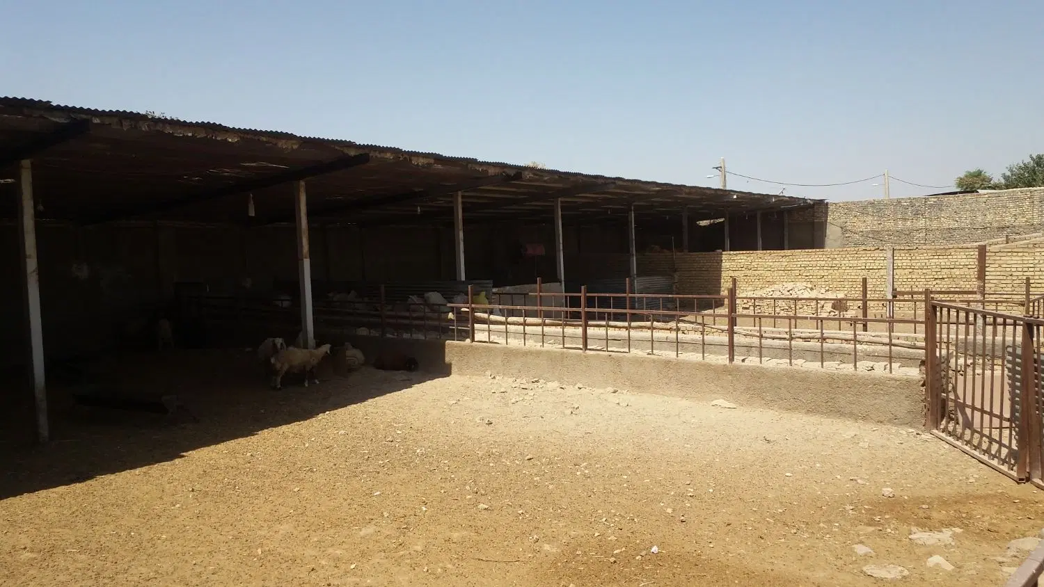 اجاره دامداری با خانه باغ زیبا