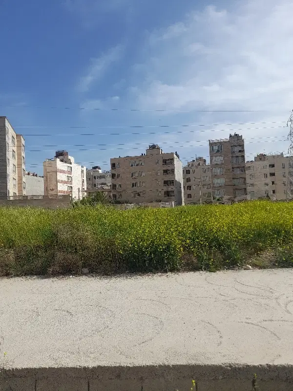 زمین تجاری کرونی