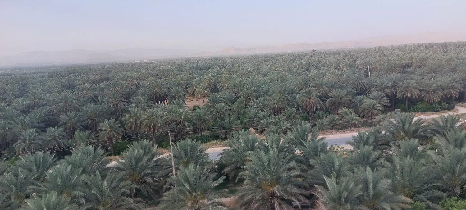 ۲۰۰ متری مسکونی معاوضه