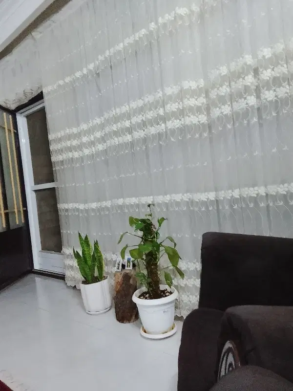 خانه اجاره ای خیابان کارگر