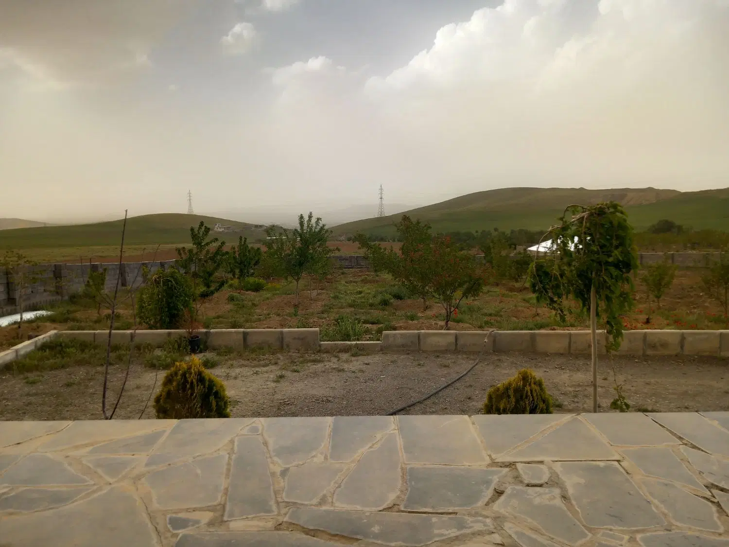 ۳۰۰۰ متر باغ