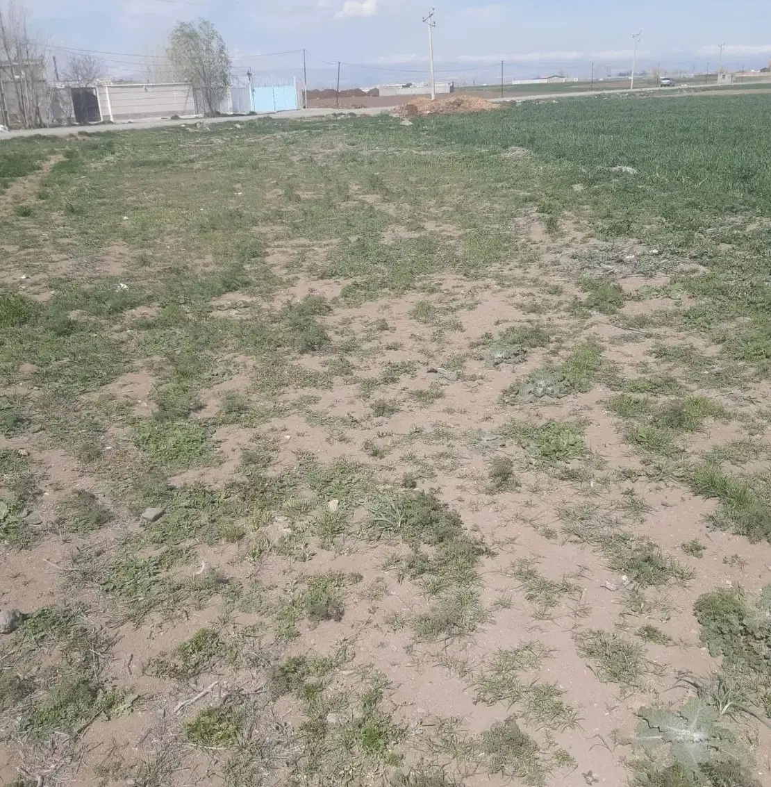 زمین مسکونی بر جاده اصلی روستایی صومعه