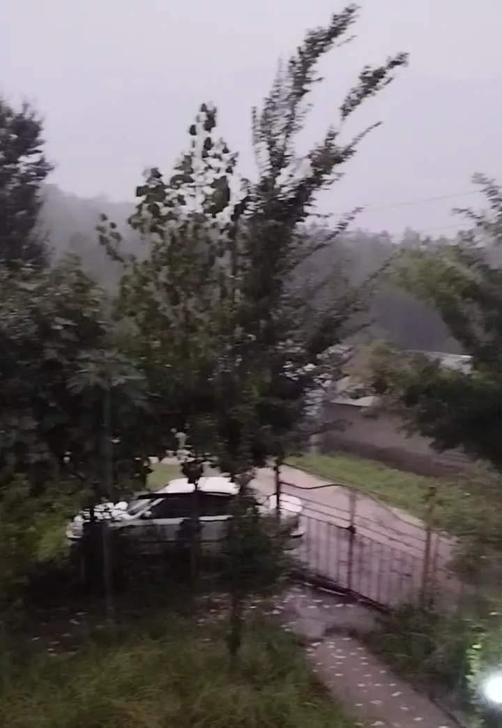 ویلا جنگلی و کوهستانی