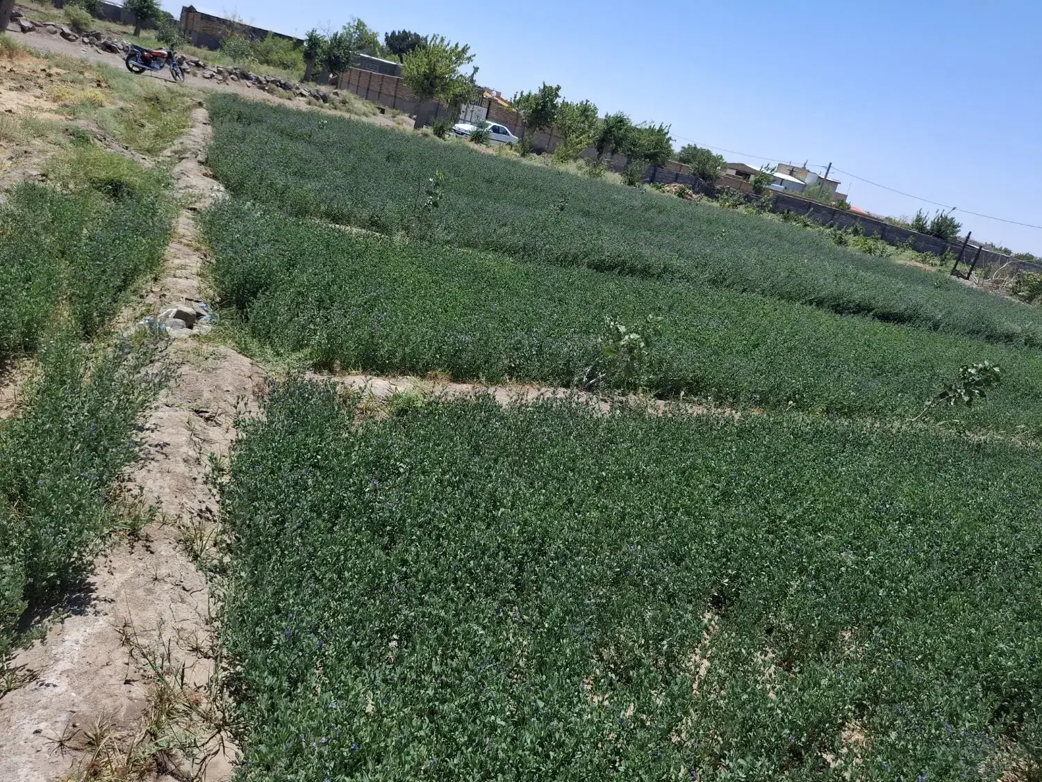 زمین فروشی برا باغ ویلایی  روستای قوزان