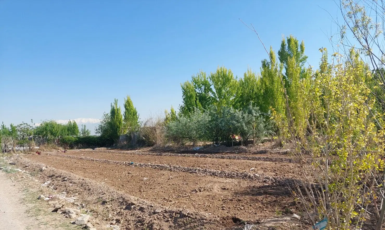 زمین کشاورزی عظیم آباد
