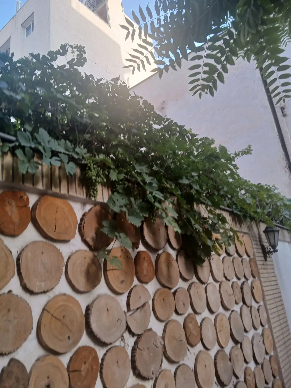 ۷۸متر همکف حیاط دار سامانیه فول شیک غرق نور