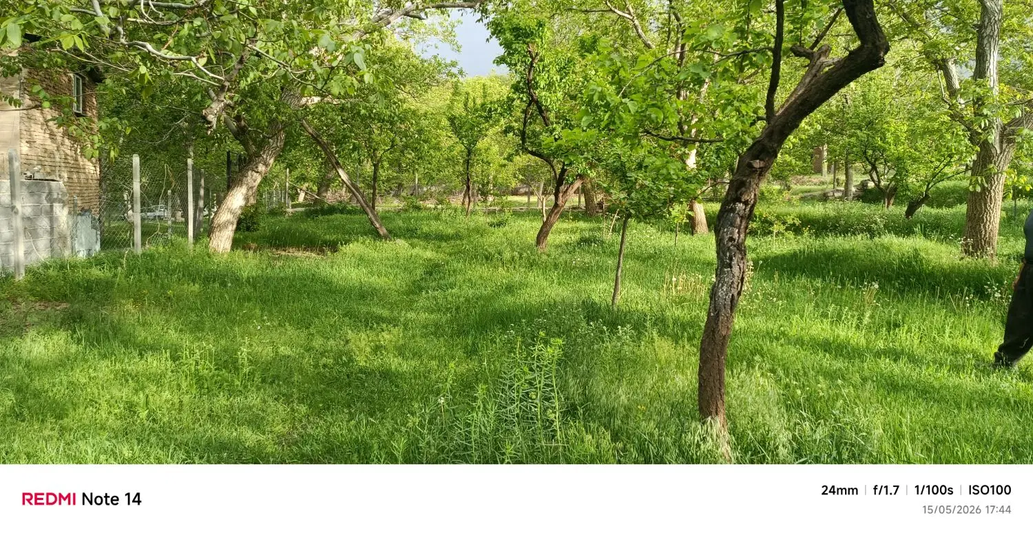باغ نزدیک مسکونی