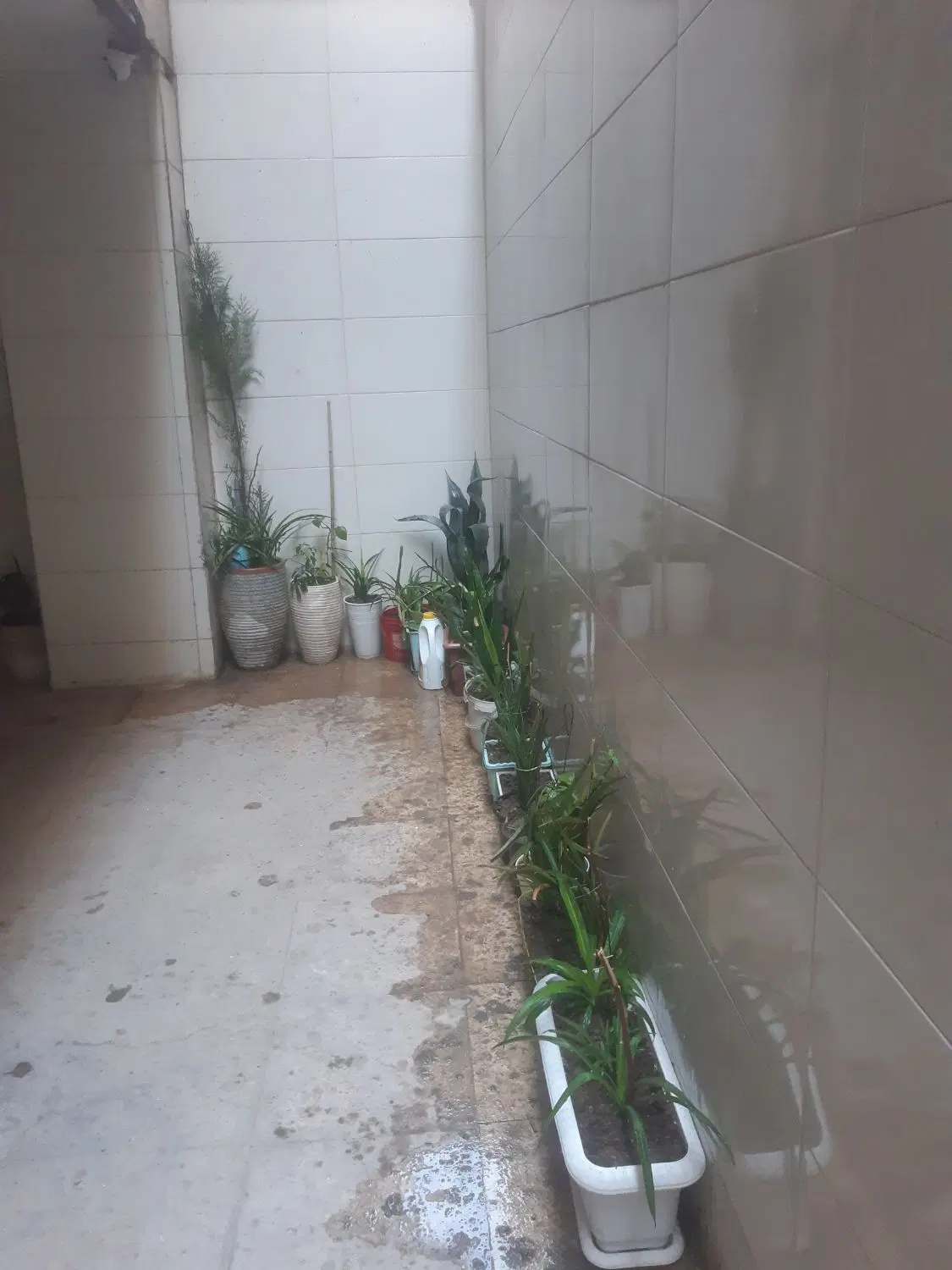معاوضه واحد اپارتمانی