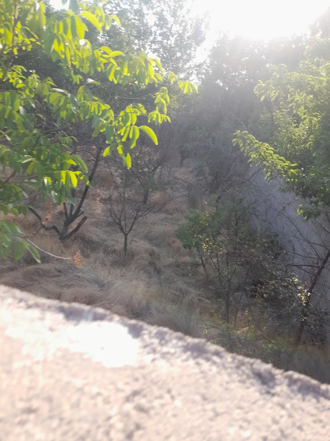 زمین به مساحت ۱۳۶متر