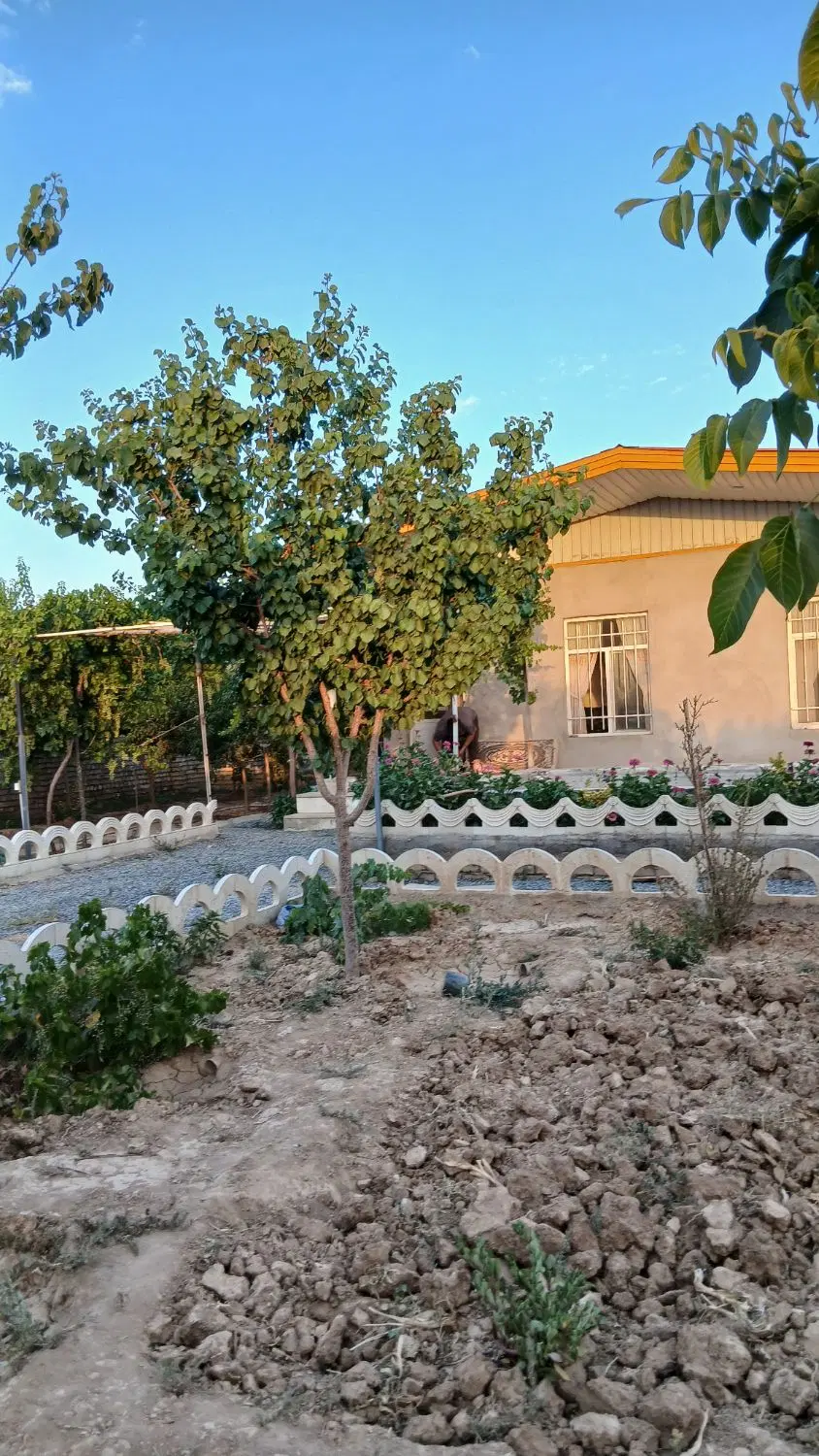 باغ ۵۰۰ متری